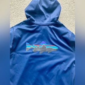 Patagonia Fitz Roy Hoodie, Lg, EUC